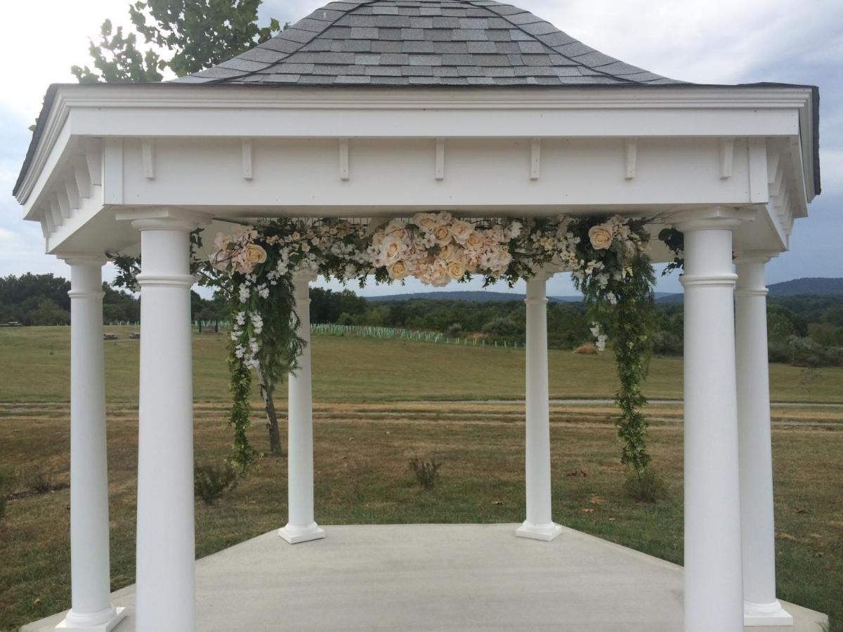 Bed and breakfast Loudoun Valley Manor 3*